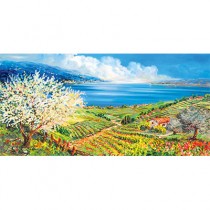 Galleria Benaco - Paesaggi gardesani - Fides Grafica