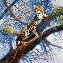 Galleria d'arte Benaco - Animali - Fides Grafica
