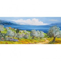 Galleria Benaco - Paesaggi gardesani - Fides Grafica